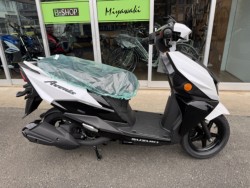 �X�Y�L�A���F�j�X125�i���Q���쑽�S���q���j�摜1