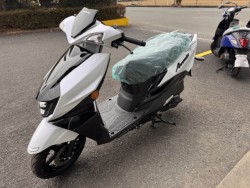 �X�Y�L�A���F�j�X125�i���Q���쑽�S���q���j�摜8