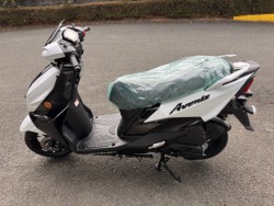 �X�Y�L�A���F�j�X125�i���Q���쑽�S���q���j�摜9