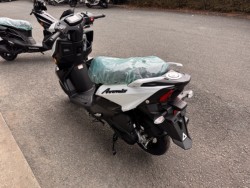 �X�Y�L�A���F�j�X125�i���Q���쑽�S���q���j�摜2