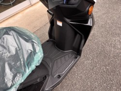 �X�Y�L�A���F�j�X125�i���Q���쑽�S���q���j�摜7