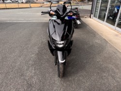 �X�Y�L�A���F�j�X125�i���Q���쑽�S���q���j�摜5