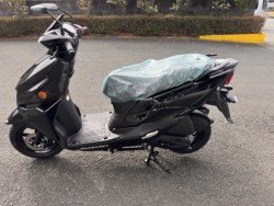 �X�Y�L�A���F�j�X125�i���Q���쑽�S���q���j�摜9