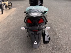 �X�Y�L�A���F�j�X125�i���Q���쑽�S���q���j�摜3