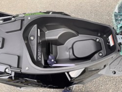 �X�Y�L�A���F�j�X125�i���Q���쑽�S���q���j�摜7