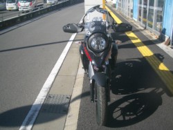 XYLV-Strom250iQRsj摜4