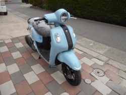 ���}�nFazzio�i�L�����L���s�����k��j�摜2