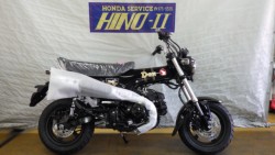 �z���_�_�b�N�X125�i���Q�����R�s�j�摜1