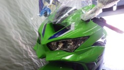 �J���T�LNinja ZX-25RR�i���Q�����R�s�j�摜18