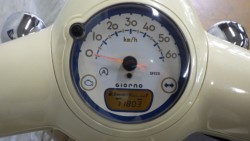 �z���_�W�����m�i���Q�����R�s�j�摜4