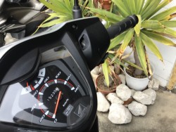 �z���_�f�B�I110�i���R�����R�s�j�摜3