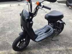 �X�Y�L�`���C�m���i���R�����R�s�j�摜2