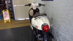 �z���_�W�����m�i���Q�����R�s�j�摜11