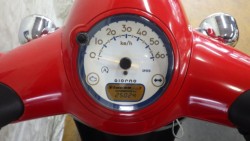 �z���_�W�����m�i���Q�����R�s�j�摜4