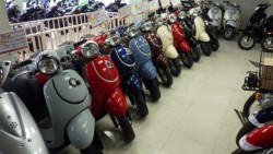 �z���_�W�����m�i���Q�����R�s�j�摜11