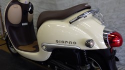 �z���_�W�����m�i���Q�����R�s�j�摜11