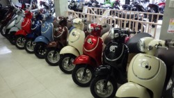 �z���_�W�����m�i���Q�����R�s�j�摜13