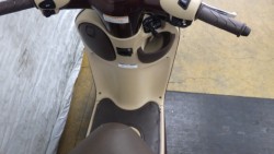 �z���_�W�����m�i���Q�����R�s�j�摜5