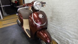 �z���_�W�����m�i���Q�����R�s�j�摜6