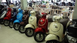 �z���_�W�����m�i���Q�����R�s�j�摜11