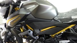 �J���T�LZ400�i���Q�����R�s�j�摜8