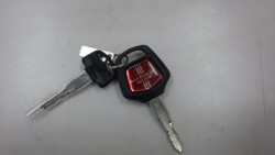 �z���_�X�[�p�[�J�u50�i���Q�����R�s�j�摜7