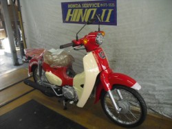 �z���_�X�[�p�[�J�u50�i���Q�����R�s�j�摜2