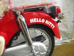 �z���_�X�[�p�[�J�u50�i���Q�����R�s�j�摜13