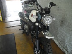 �z���_�����L�[125�i���Q�����R�s�j�摜5