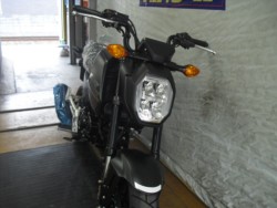 �z���_�O�����i���Q�����R�s�j�摜4