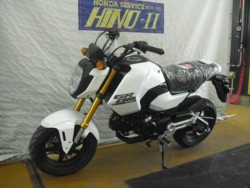 �z���_�O�����i���Q�����R�s�j�摜8