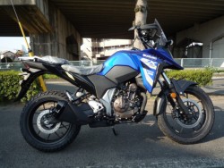 �X�Y�LV�X�g���[��250SX�i���Q�����R�s�j�摜1