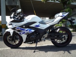 XYLGSX250RiQRsj摜2