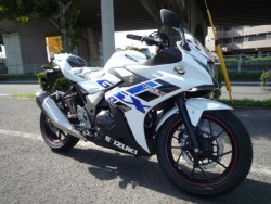 XYLGSX250RiQRsj摜3