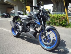 XYLGSX-S125 ABSiQRsj摜3
