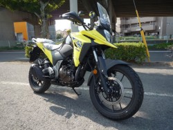 �X�Y�LV�X�g���[��250SX�i���Q�����R�s�j�摜3