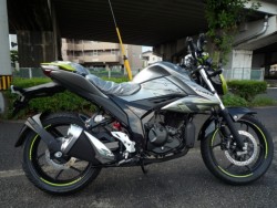 XYL GIXXER(WNT[) 