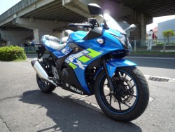 XYLGSX250RiQRsj摜3