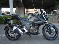 �X�Y�L�W�N�T�[250�i���Q�����R�s�j�摜1