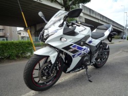 XYLGSX250RiQRsj摜7