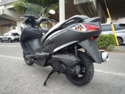 �X�Y�L�o�[�O�}��200�i���Q�����R�s�j�摜8