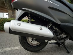 �X�Y�L�o�[�O�}��200�i���Q�����R�s�j�摜16