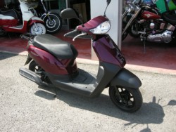 �z���_�^�N�g�E�x�[�V�b�N�i���Q���V���l�s�j�摜1