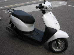 �z���_�^�N�g�E�x�[�V�b�N�i���Q���V���l�s�j�摜2