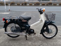 �z���_�X�[�p�[�J�u50�i���R�������s�j�摜1