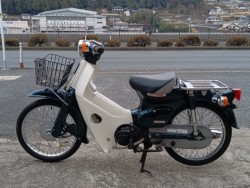 �z���_�X�[�p�[�J�u50�i���R�������s�j�摜4