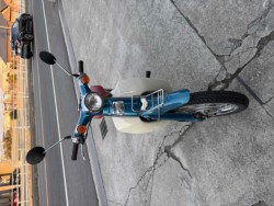 �z���_���g���J�u�i���R�����R�s�j�摜1