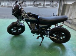 �z���_�G�C�v50�i���Q���F�a���s�j�摜21