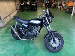 �z���_�G�C�v50�i���Q���F�a���s�j�摜19