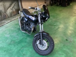 �z���_�G�C�v50�i���Q���F�a���s�j�摜20